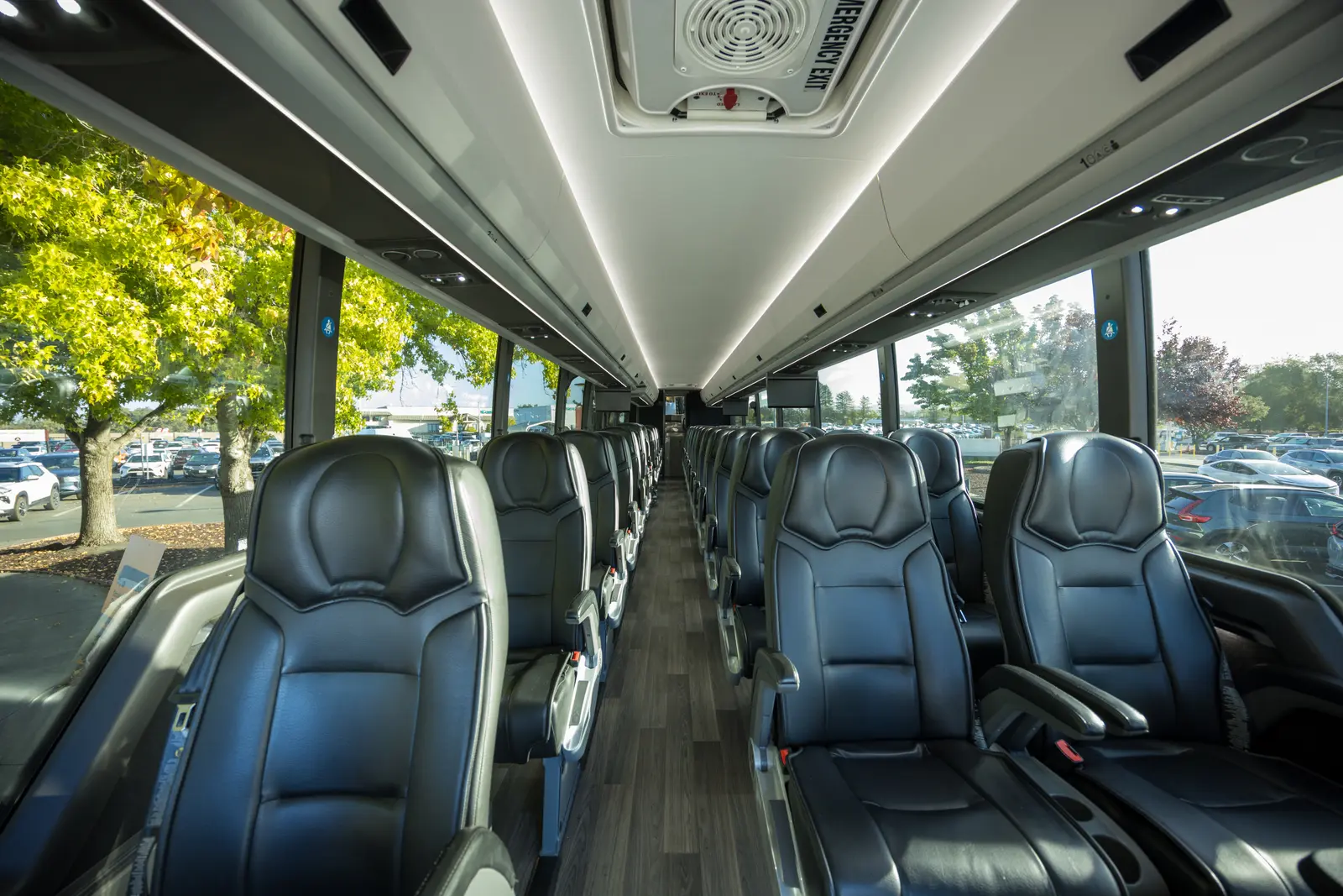The cabin, with reclining leather seats on either side of the aisle.